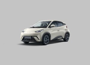 BYD Dolphin Mini atinge marca histórica de 7.577 unidades vendidas em maio