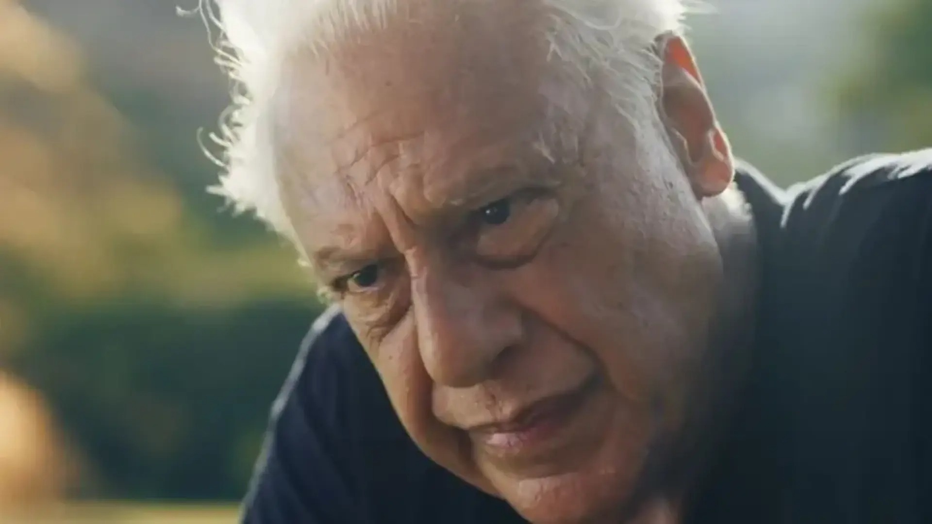 Antônio Fagundes deixa 'Quem Ama Cuida': Detalhes da participação especial na novela da Globo