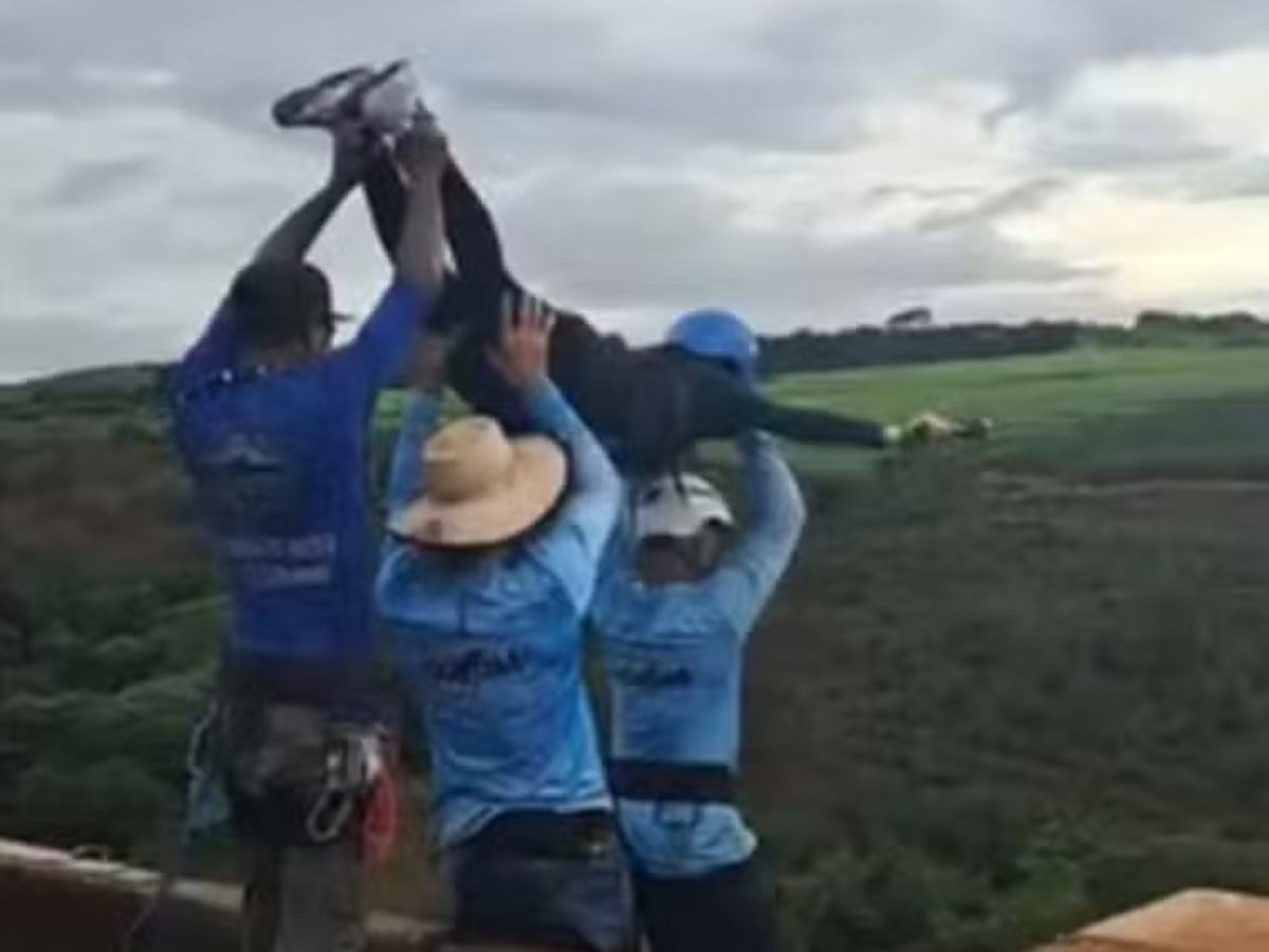 Polícia de Limeira detém mais três suspeitos e chega a seis presos por morte em rope jump