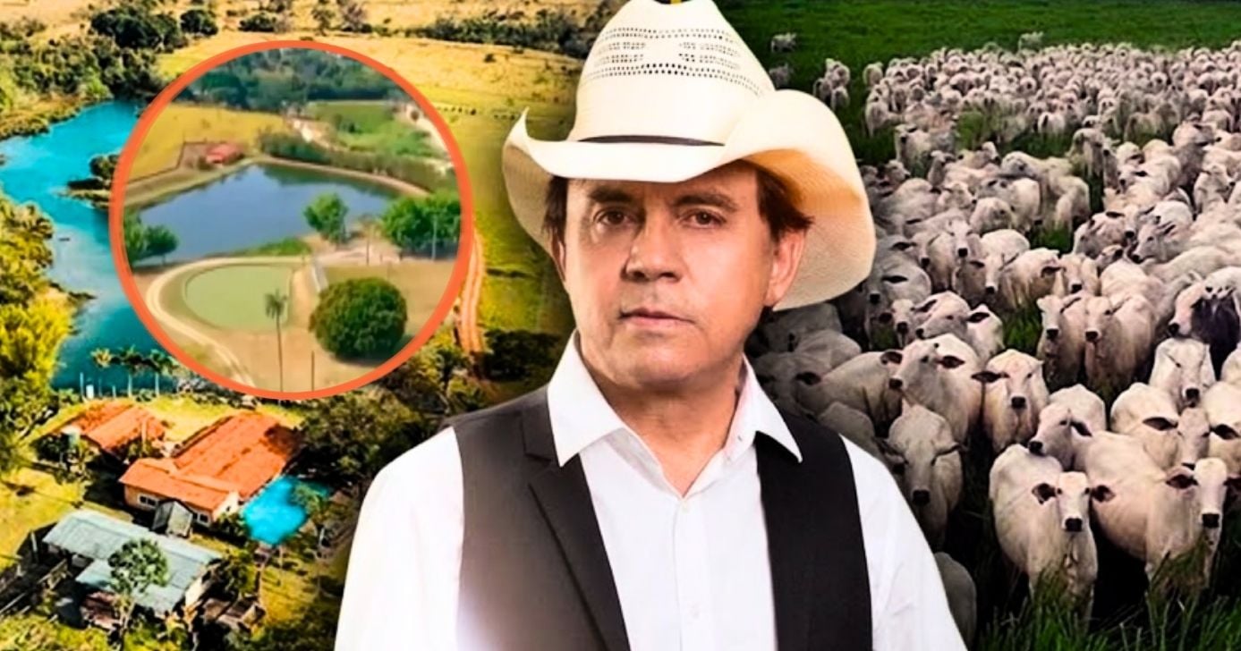 Reprodução/TV Globo)