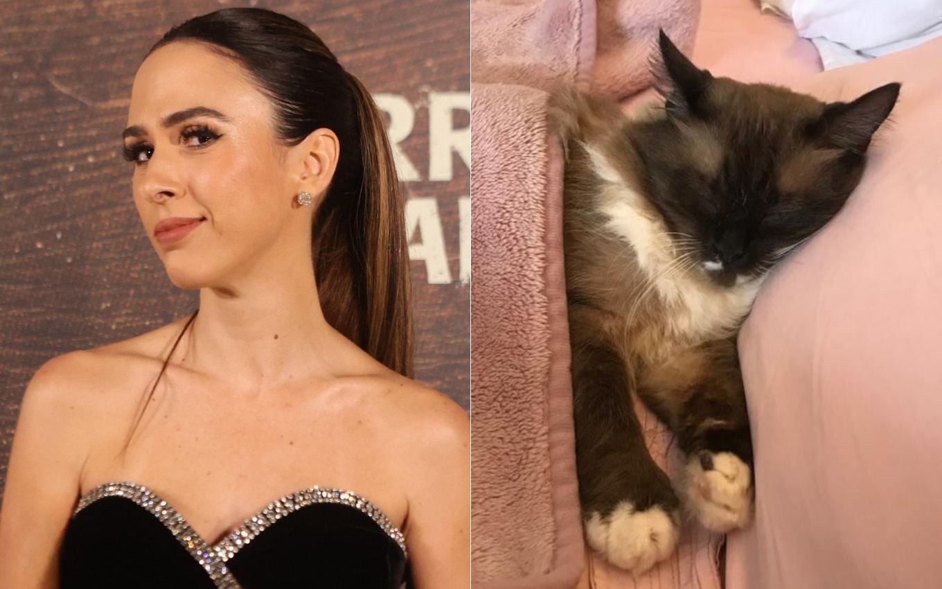 Tata Werneck se despede do gato Chico em novo luto, dias após perda de cachorro
