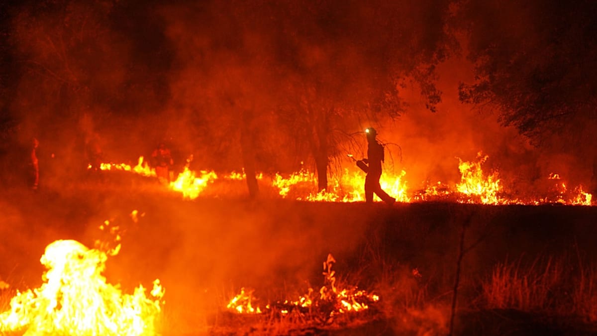 Desinformação se espalha em meio a incêndios florestais devastadores na Espanha