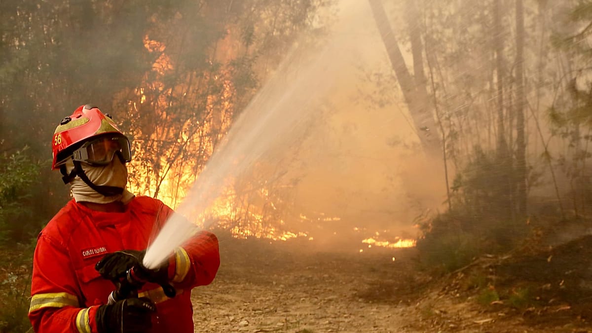 Incêndios em Portugal: Valpaços mobiliza quase mil operacionais em combate intenso