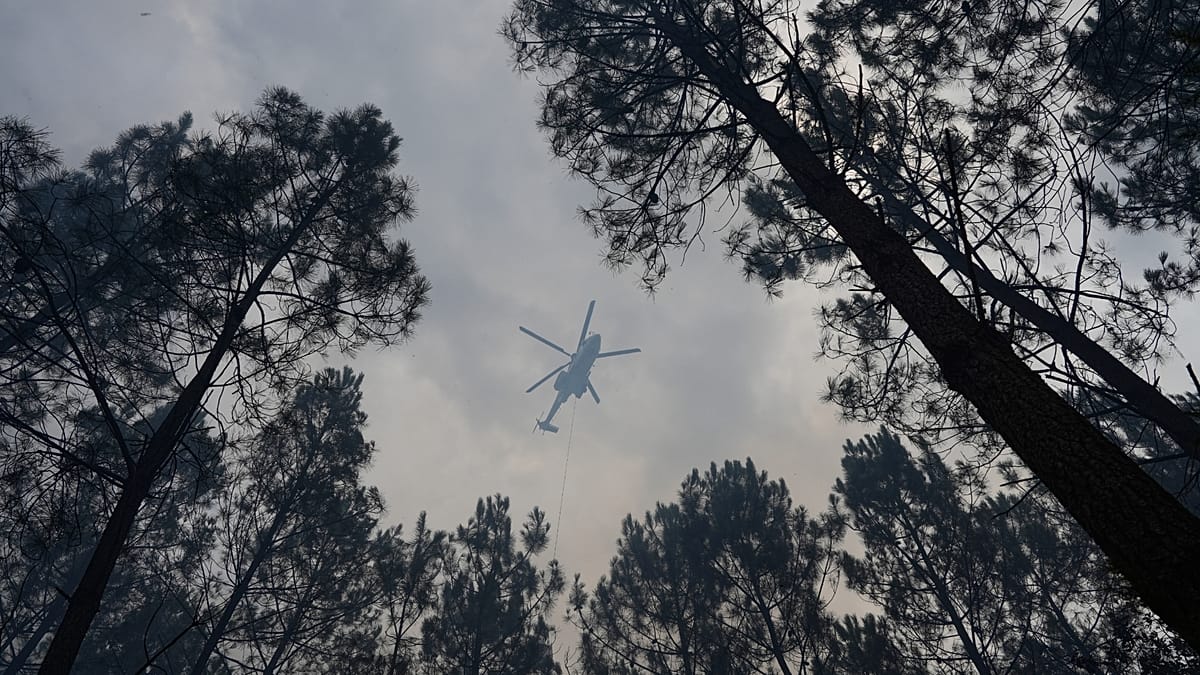 Incêndios florestais voltam a assolar a região de Var na França