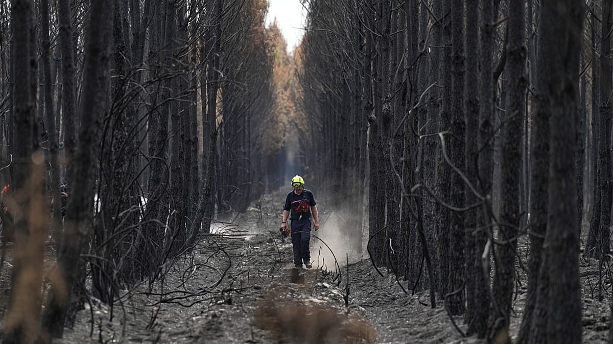 Crise climática coloca sistema de combate a incêndios da União Europeia sob pressão máxima