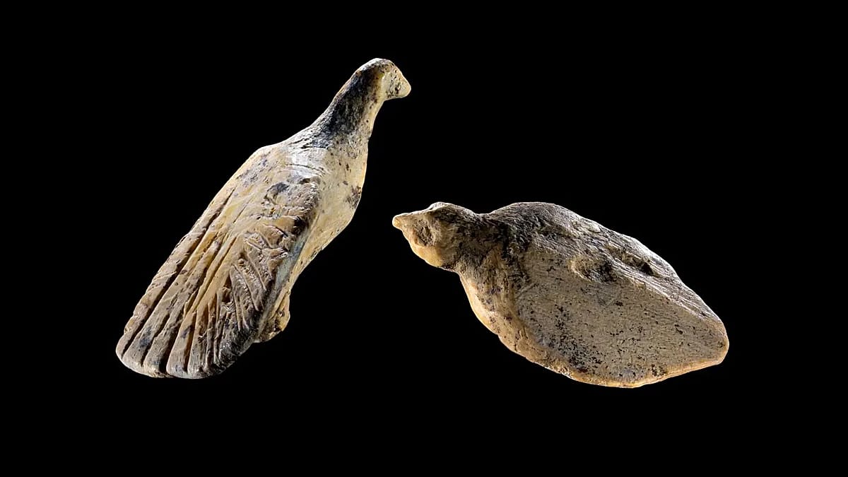 Esculturas de aves em marfim com 40 mil anos revelam sofisticação da arte na Idade do Gelo