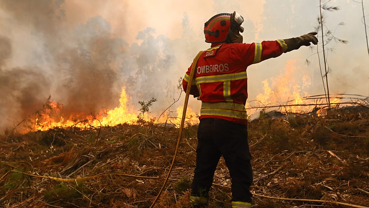 Incêndio em Valpaços é controlado após devastar 16 mil hectares e mobilizar mil homens