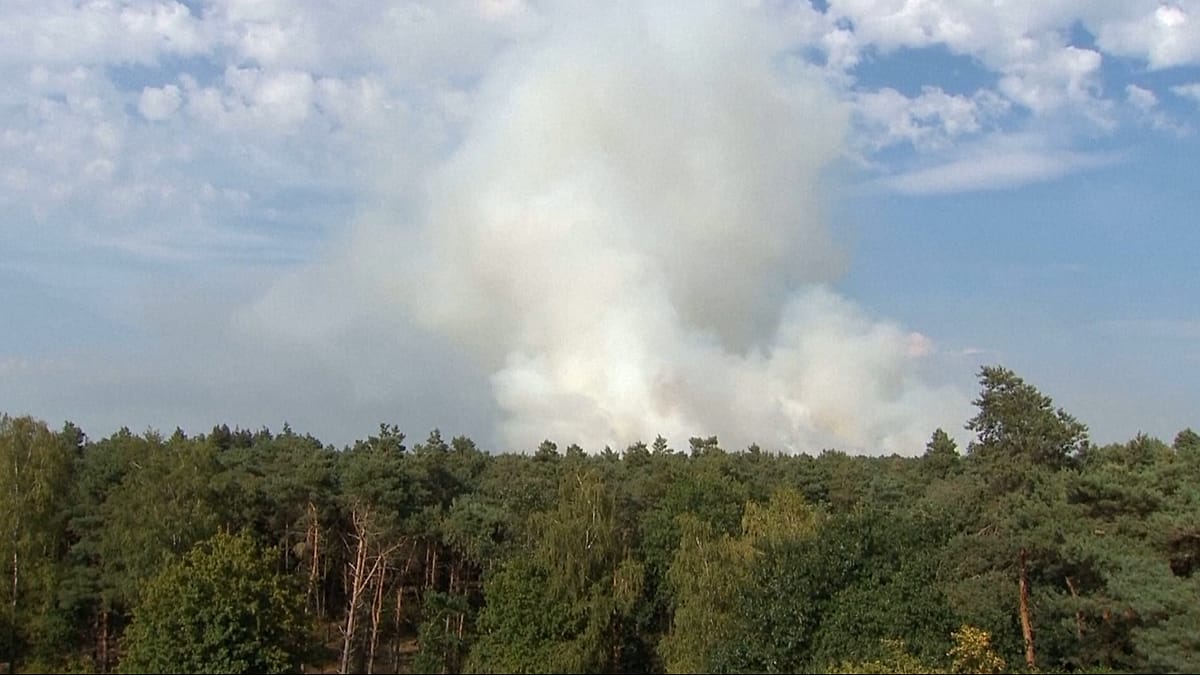 Incêndio florestal consome 100 hectares em reserva natural nos Países Baixos
