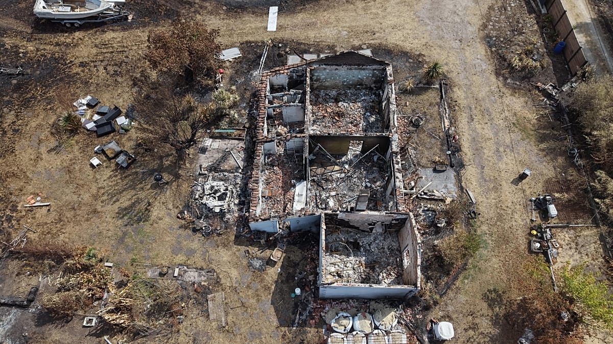 Incêndio florestal na França expõe perigo oculto da Segunda Guerra Mundial