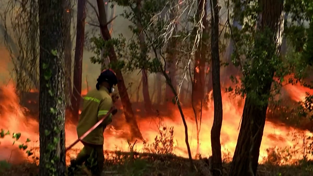 Incêndios florestais na Grécia forçam evacuações em Cefalónia e Ática