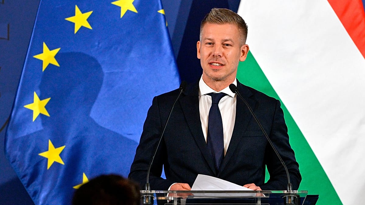Péter Magyar otimista com retomada da usina de Paks após subida do Danúbio