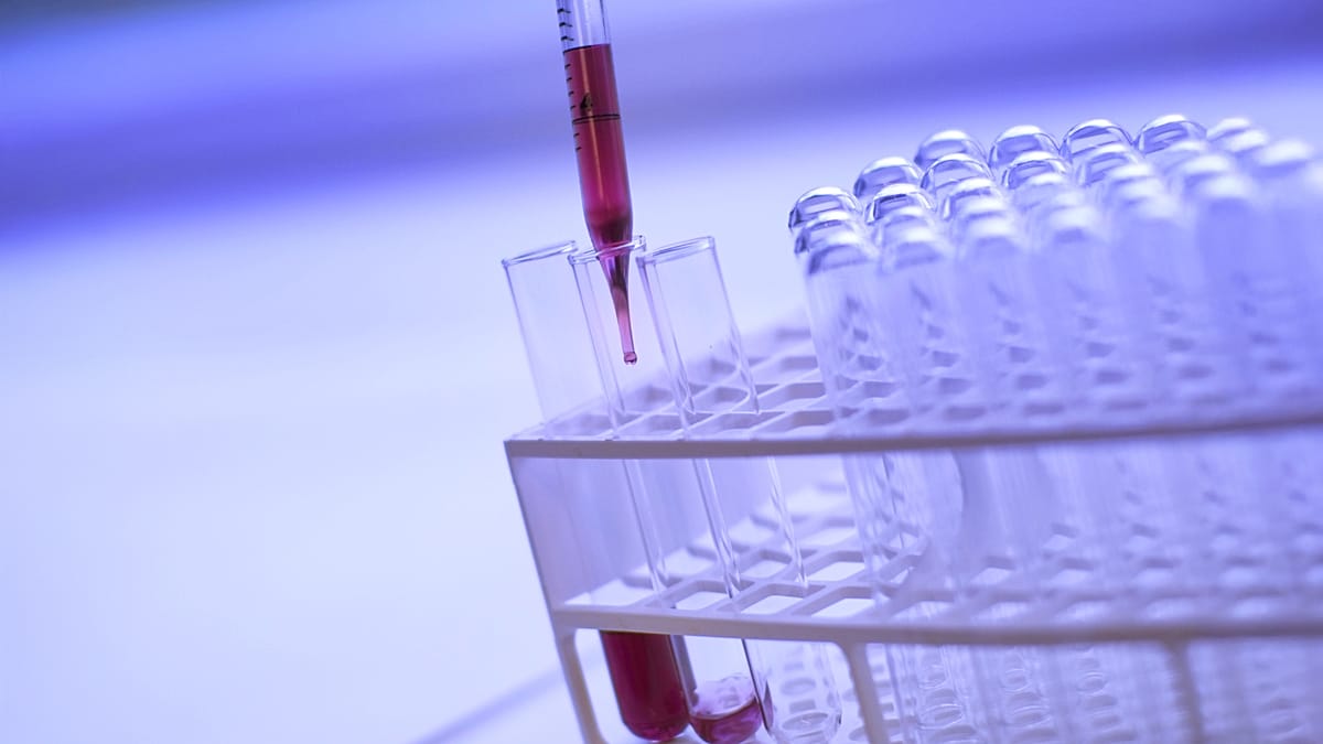 Programa de rastreio no País Basco reduz em 50% mortes por cancro colorretal