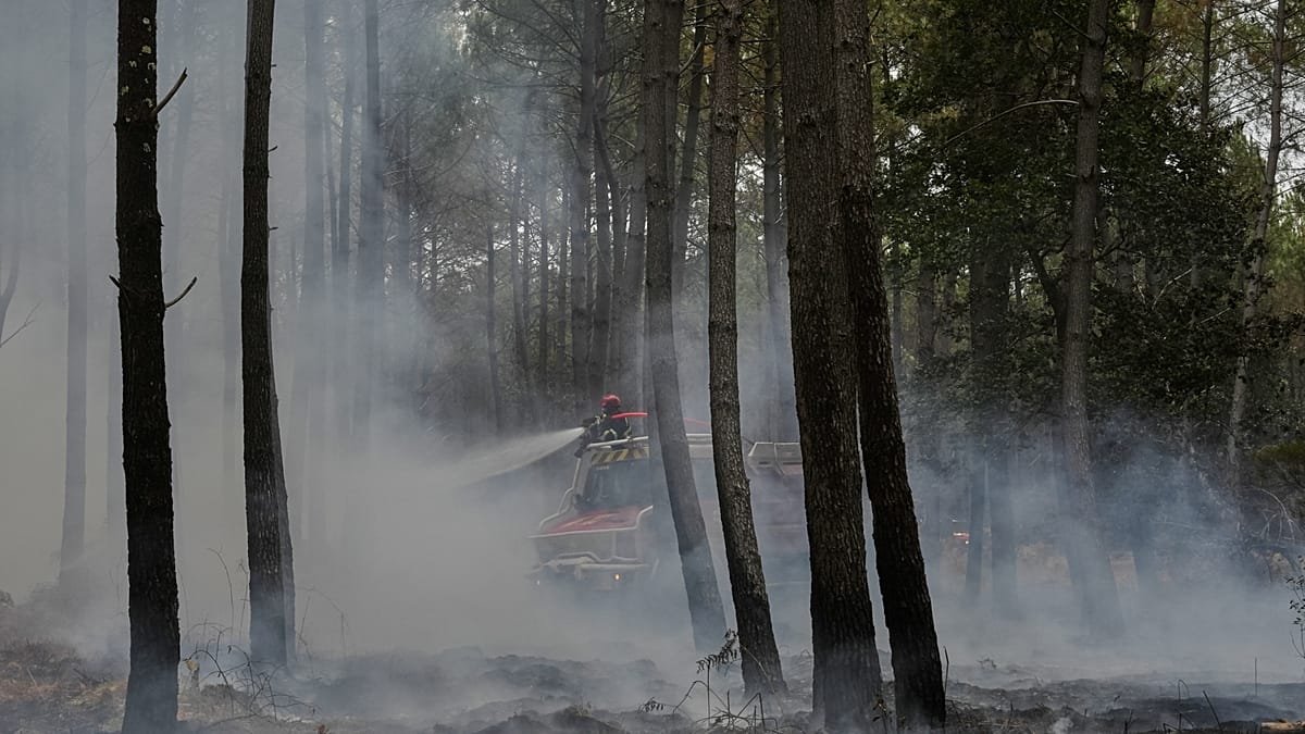 Solidariedade em chamas: Bombeiros ucranianos apoiam França contra incêndios em Gironde