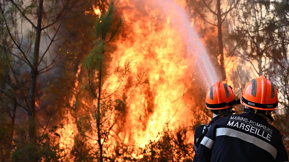 União Europeia reforça combate a incêndios florestais com investimento e estratégia preventiva